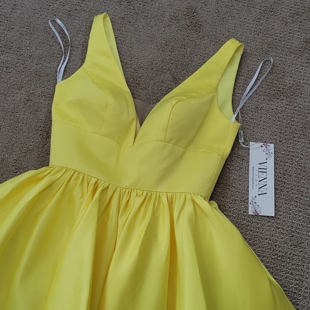 Vienna Prom A Line V Neck Dress w Pleated Full Skirt, Mesh Insert, Several Flaws - Picture 5 of 16
